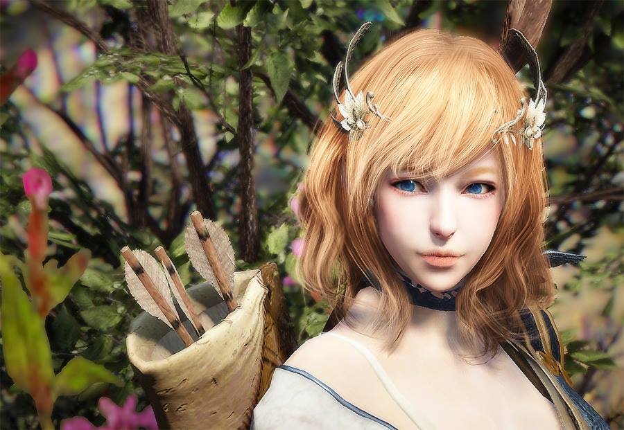 Издатель Black Desert о P2P-серверах: не раньше весны 2016 года - Изображение 1 Издатель Black Desert о P2P-серверах: не раньше весны 2016 года - Изображение 1