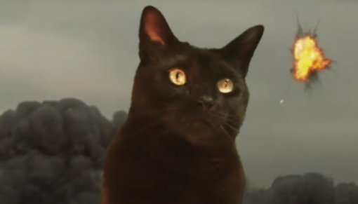 В трейлер фильма «Годзилла против Конга» добавили кота — получился новый кайдзю
