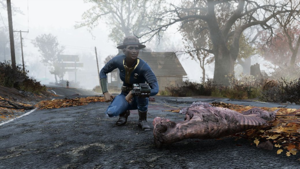Новый патч для Fallout 76 исправил проблему слишком тяжелых заколок (да, она реально существовала) | Канобу - Изображение 1 Новый патч для Fallout 76 исправил проблему слишком тяжелых заколок (да, она реально существовала) | Канобу - Изображение 1